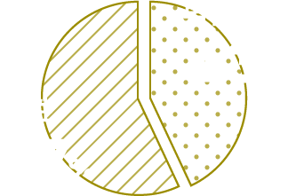 男性43% 女性57%